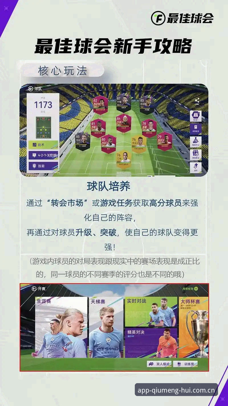 移动端体验全面评测：球盟会官方入口如何重塑体育平台的效率边界